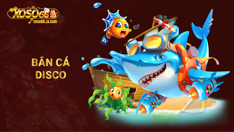bắn cá disco
